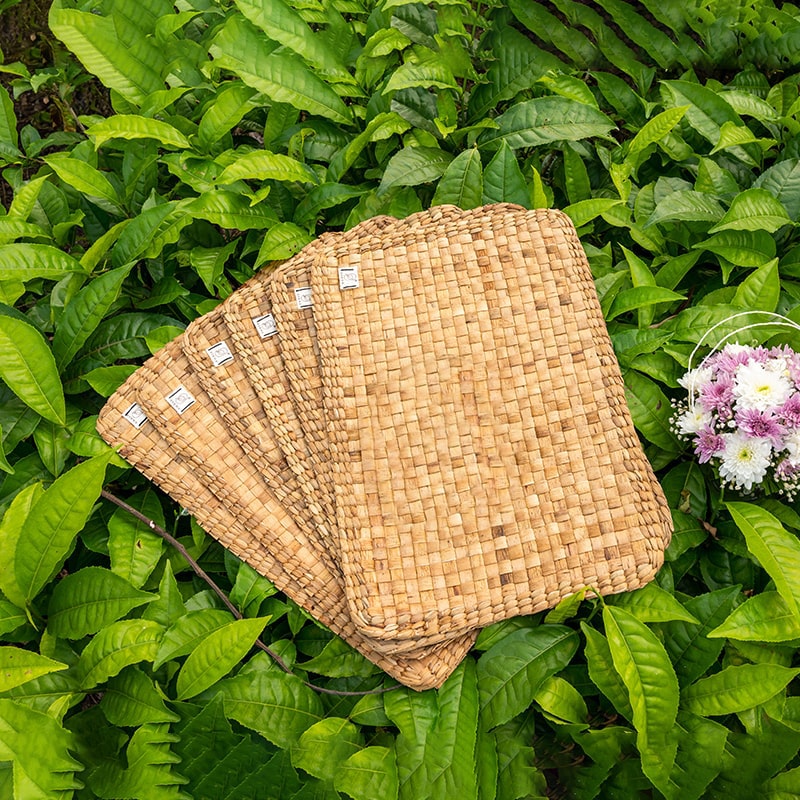 Top view of wicker table mat set of 6 on a garden background 