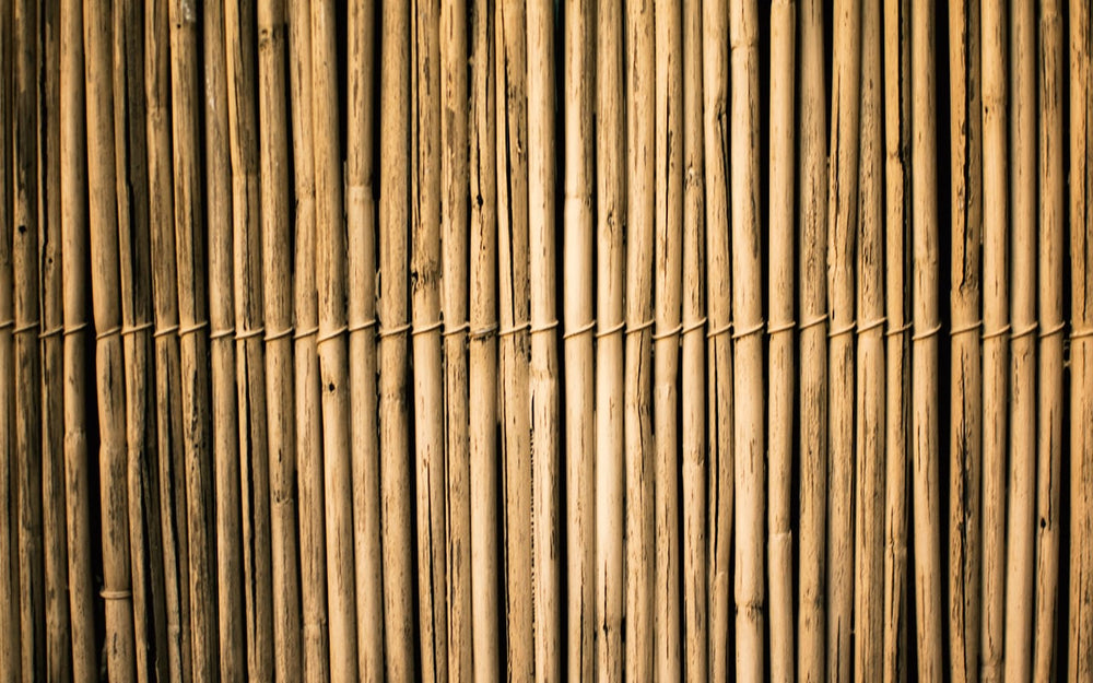 Lengths of bamboo slivered and laid side by side ready for weaving