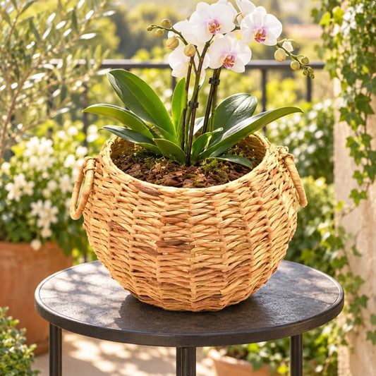 Wicker Belly Planter - Asama Enterprise