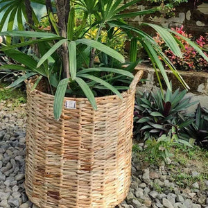 Wicker Cylindrical Planter