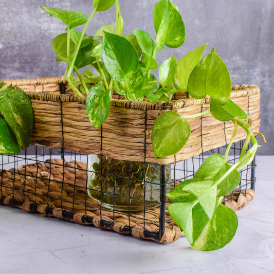 Wicker Grid Basket