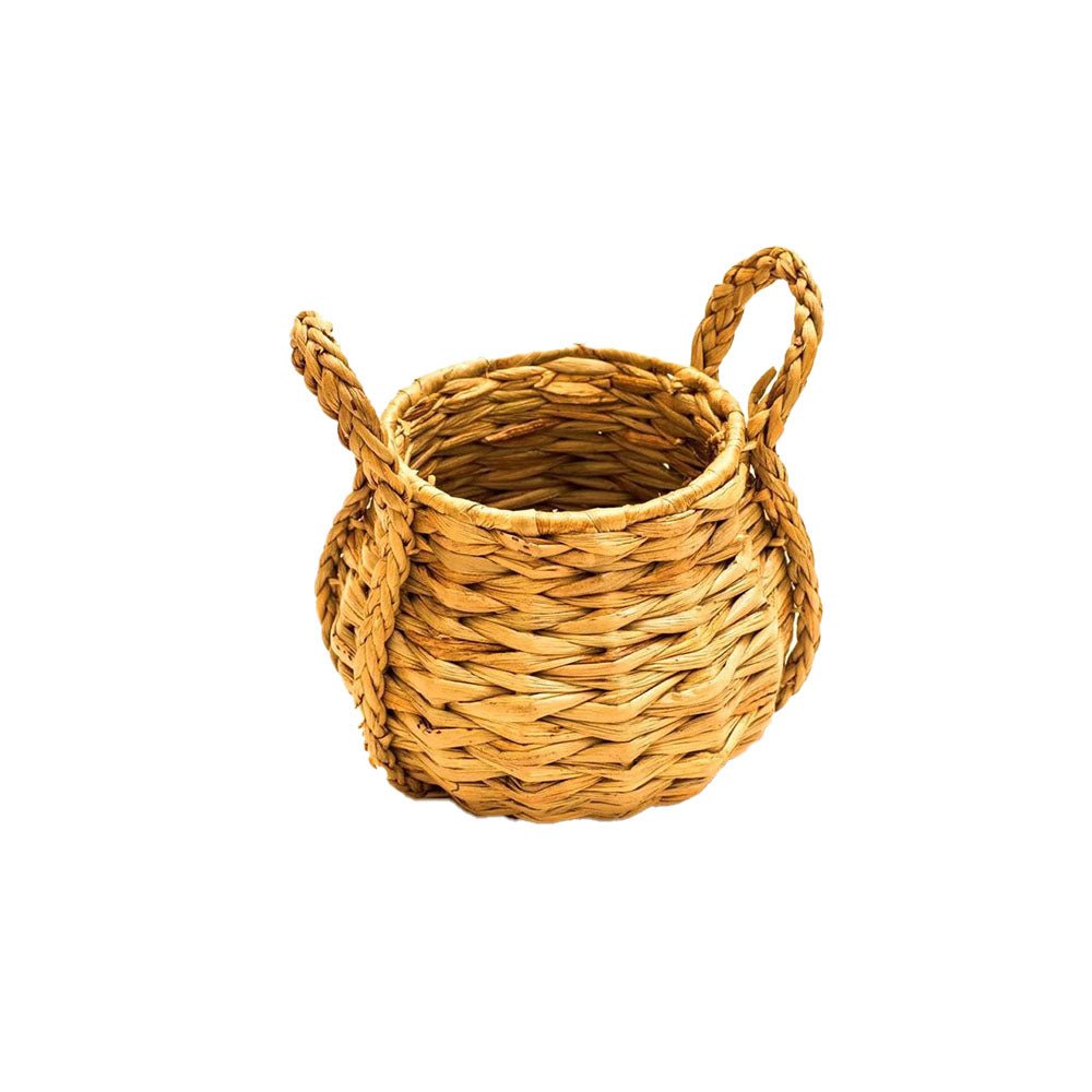 Desktop Planter - Asama Enterprise