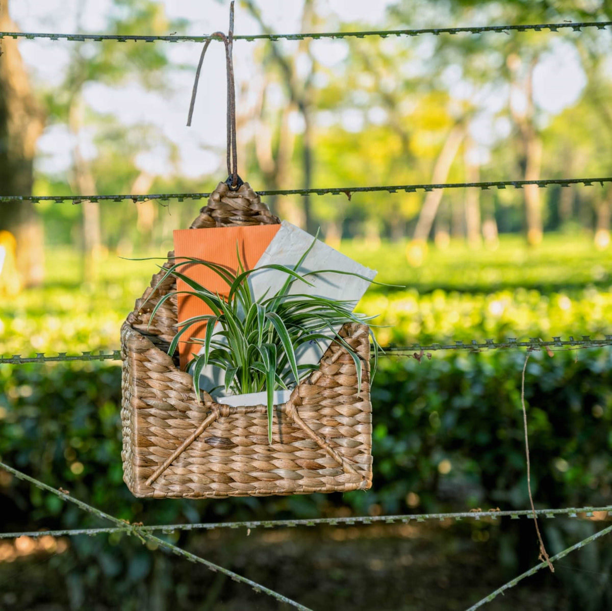 You have got mail in a beautiful mail shaped basket. In natural brown colour.
